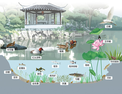 1740103533642219.jpg 602148cd-805c-4581-80f4-4fbfd96f0a23.jpg